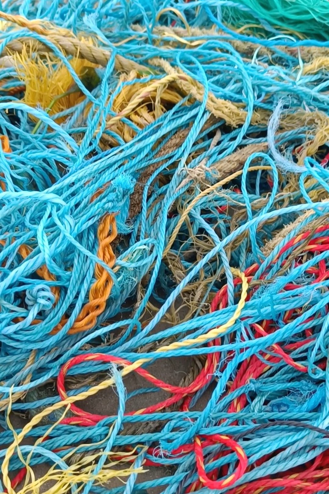 Rainbow Fish Discarded Fishing Net Artwork