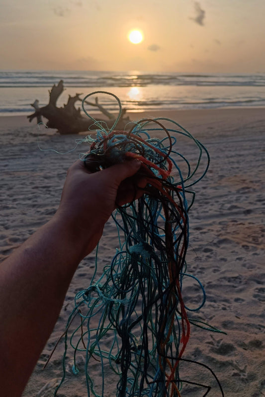 Rainbow Fish Discarded Fishing Net Artwork