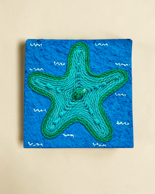 Starfish Discarded Fishing Net Artwork