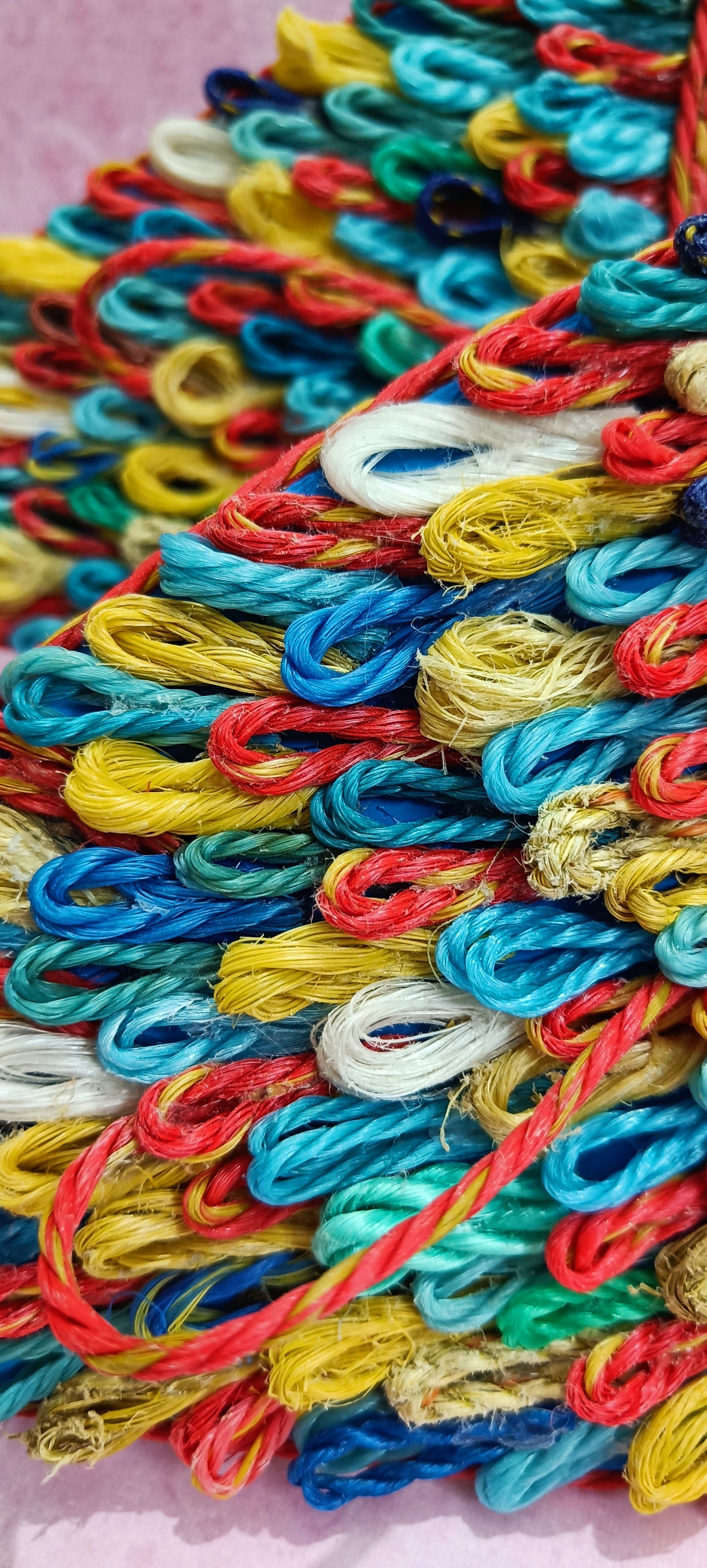 Rainbow Fish Discarded Fishing Net Artwork