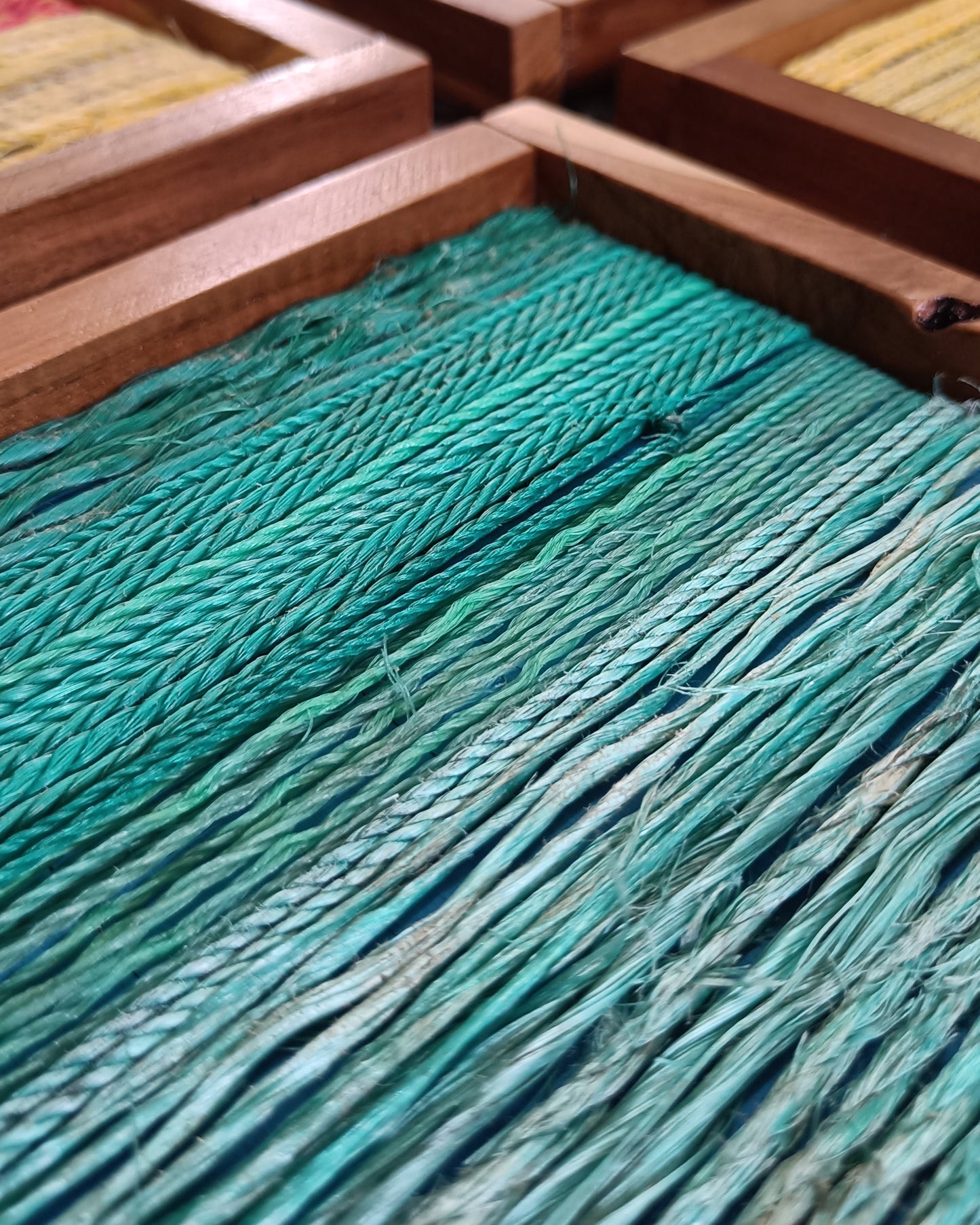 Coastal Current — Ghost Net Art