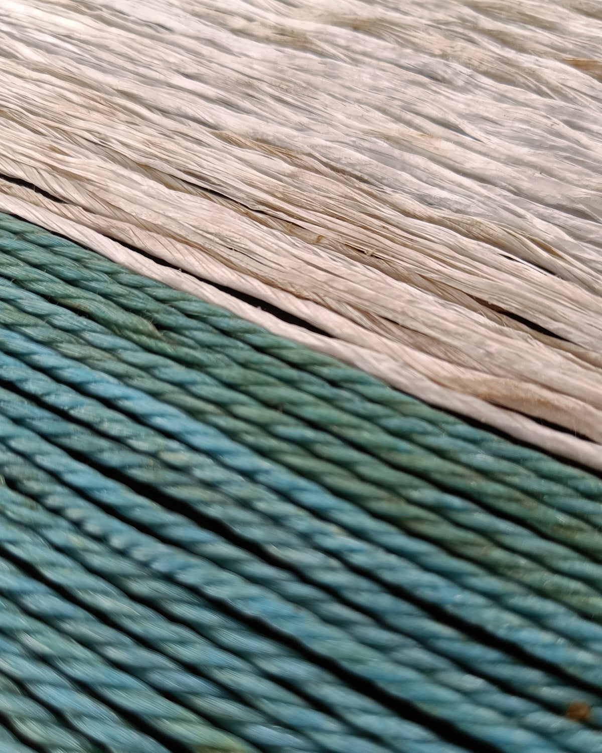 Shallow Waters — Ghost Net Art